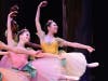 These are the only American Repertory Ballet performances featuring a live orchestra and the Princeton Girlchoir. 