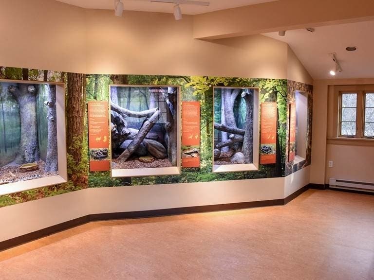 Huber Woods Reptile House In Middletown Reopens Middletown, NJ Patch