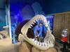 SeaQuest owner and CEO Vince Covino in a replica megladon shark's mouth that children can pose in.