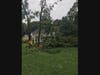 "Trees hit two homes. Trees were tossed in people's swimming pools, fences torn up. It looks like a war zone," said a Lincroft resident. "This was crazy."