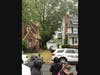 The bear was up a tree on Webster Avenue in Kearny all Monday afternoon. Residents were told to stay inside their homes.