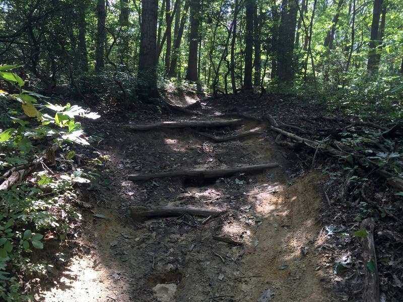 Hartshorne Woods Park 