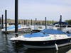 Boats docked at the Carteret marina.