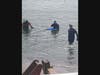 State Police divers