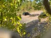 A view from the bridge over where the body was found.