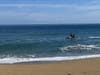 Kauai Ocean Safety Jet Ski operators search for the missing swimmer off Lumaha’i Beach Monday.