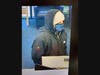 The Dec. 28 bank robbery suspect in this photo released by Middletown Police.
