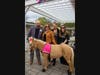 With Roxxy, the facility’s therapy miniature pony.