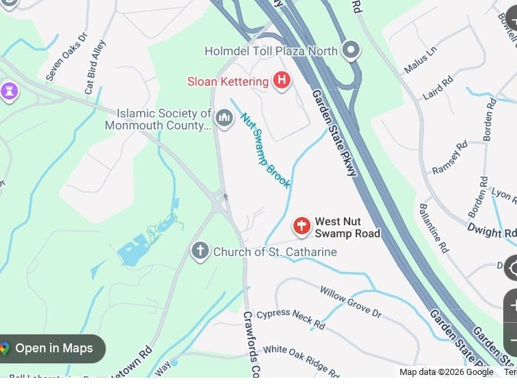 Where the proposed town home development will be built.