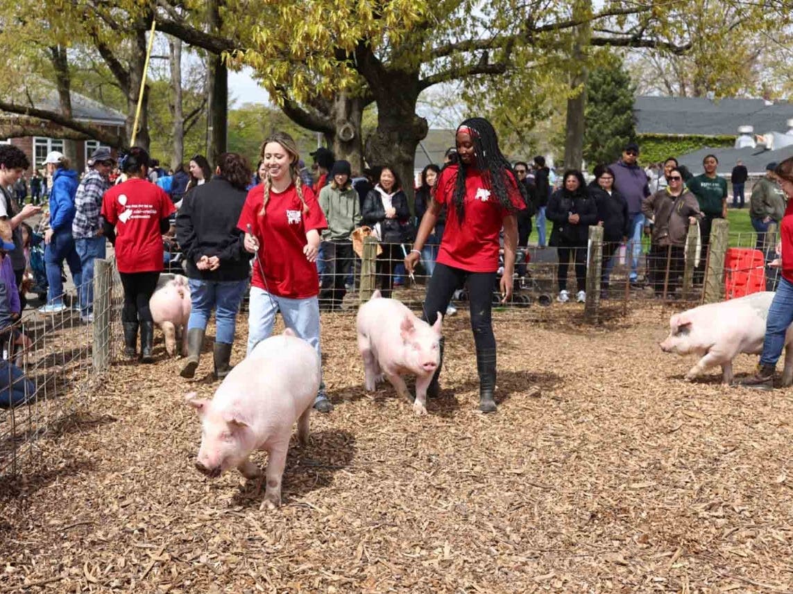 https://patch.com/img/cdn20/users/22870800/20260406/014658/styles/patch_image/public/rutgers-day-pig-show-cook-douglass-wr24-promo___06134536373.jpg