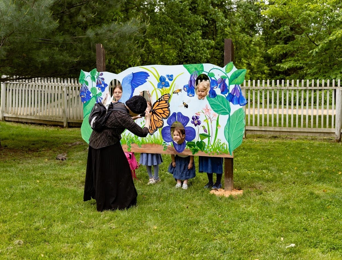 Enjoy family fun during Walnford Day.