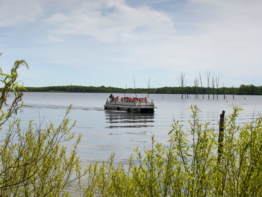 Tour the Manasquan Reservoir with a Park System naturalist.