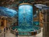 The centerpiece will be a 65,000-gallon Shipwreck Aquarium and 12,000-gallon ray touch pool.