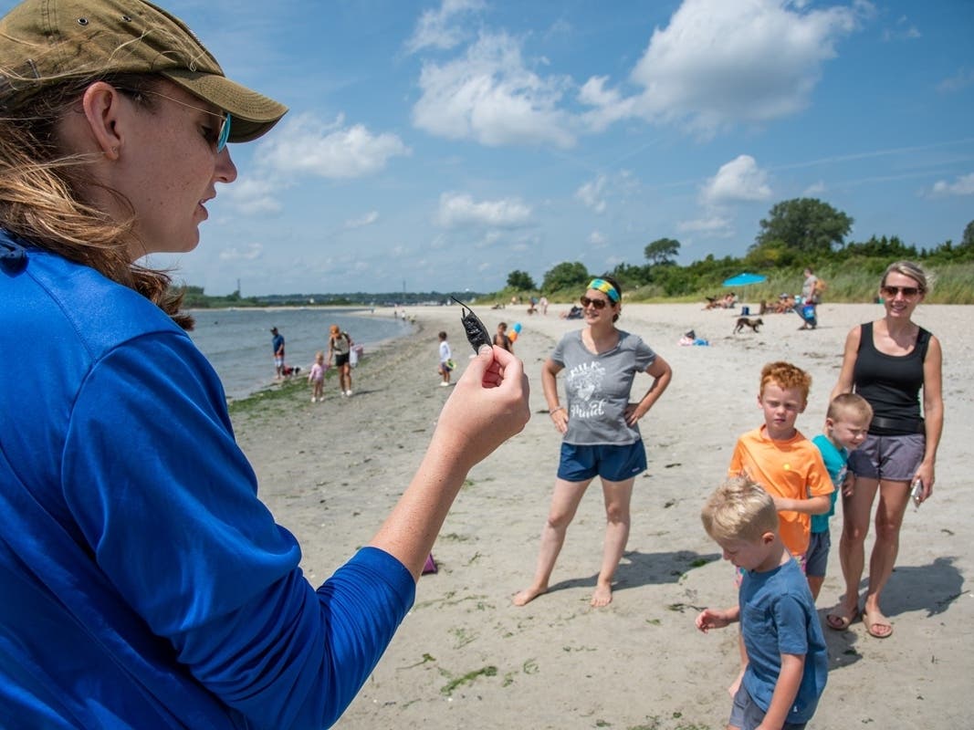 Join Park System naturalists on Tuesdays, July 7-August 25, at Fisherman’s Cove Conservation Area in Manasquan.