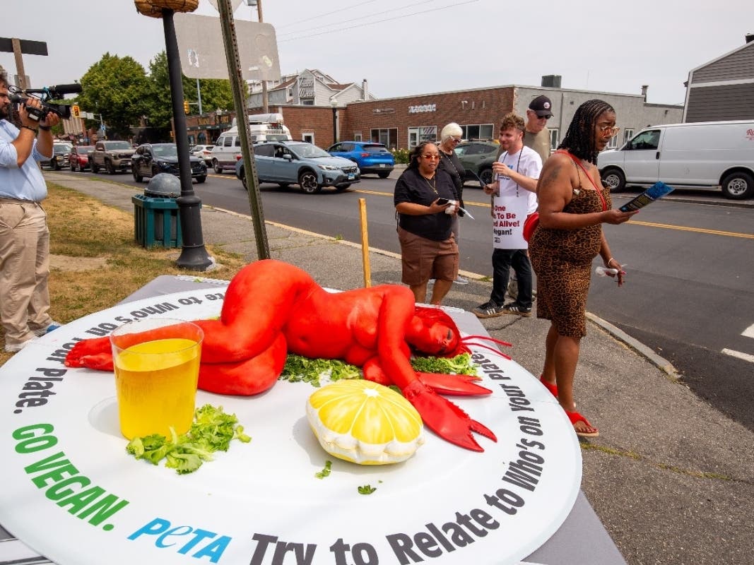 PETA did a similar protest outside the Maine Lobster Festival earlier this summer.