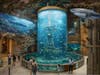 The store will have a 65,000-gallon indoor aquarium and a 12,000-gallon touch pool with sting rays and jellyfish.