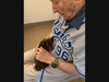 Pictured is the father of MCSPCA development director and associate director Barbara Lovell, holding a puppy in his old age.