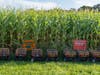 October 16–18 and October 23–25 is the East Jersey Old Town Village Fall Harvest Festival.