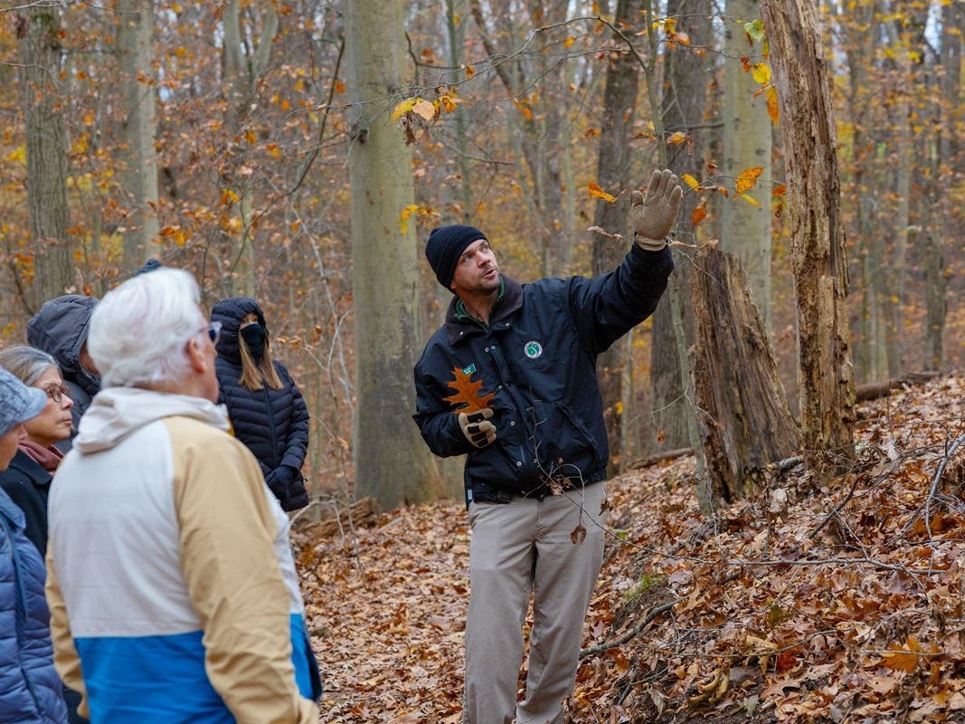Take a guided hike with a naturalist in Freneau Woods Park, Aberdeen Nov. 4 or in Hartshorne Woods Park Nov. 18.