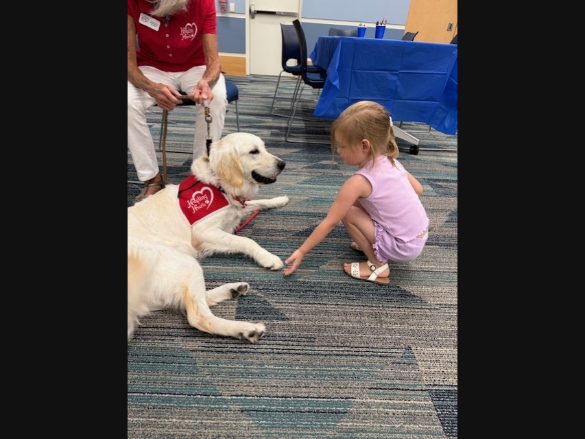 Orland Park Public Library's A Very Special Bright Starts: Comfort Dogs on Saturday, Aug. 29, from 10 to 11 a.m.