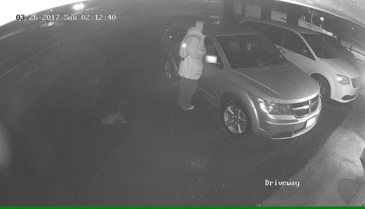 Alleged Car Burglar Caught On Camera In North Plainfield | Watchung, NJ ...