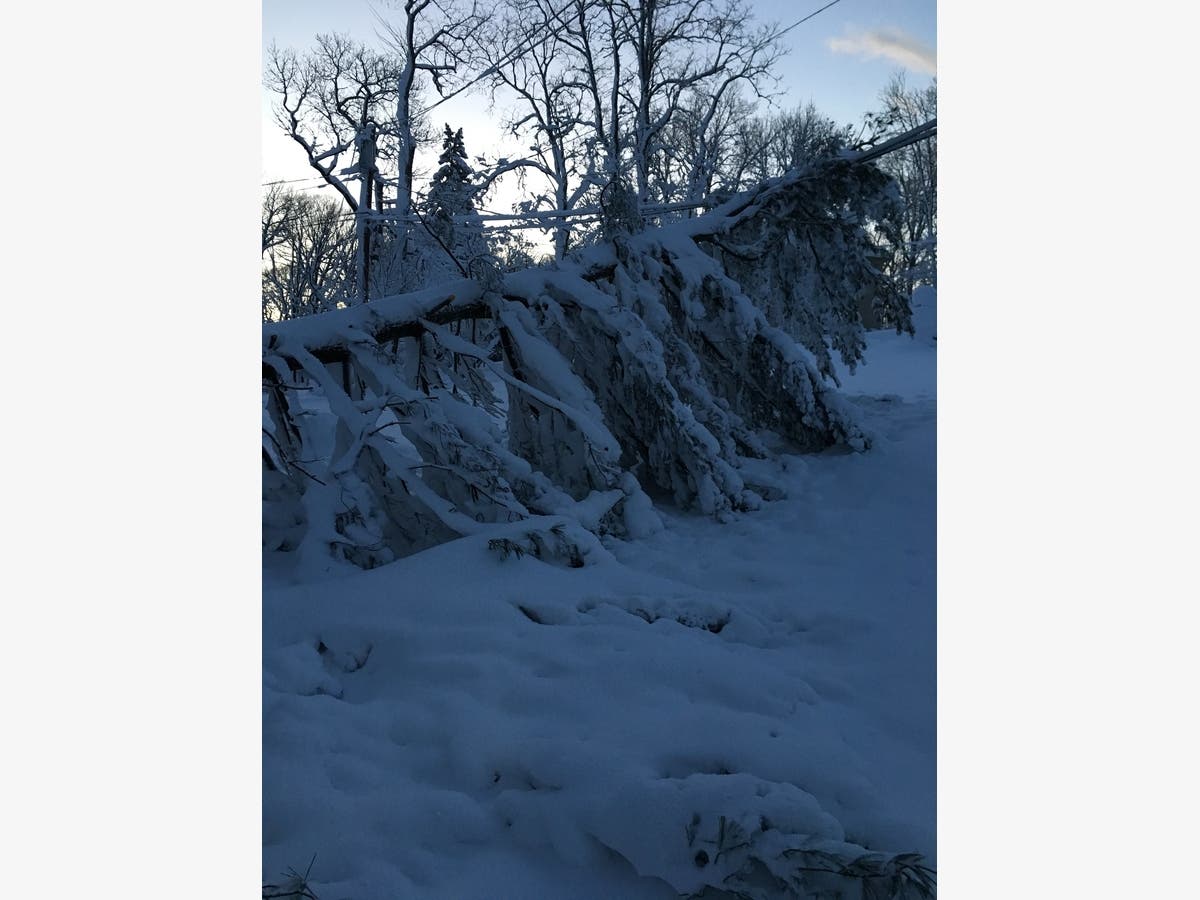 https://patch.com/img/cdn20/users/22871539/20180308/083423/styles/raw/public/processed_images/img_1583-1520515690-8264.jpg