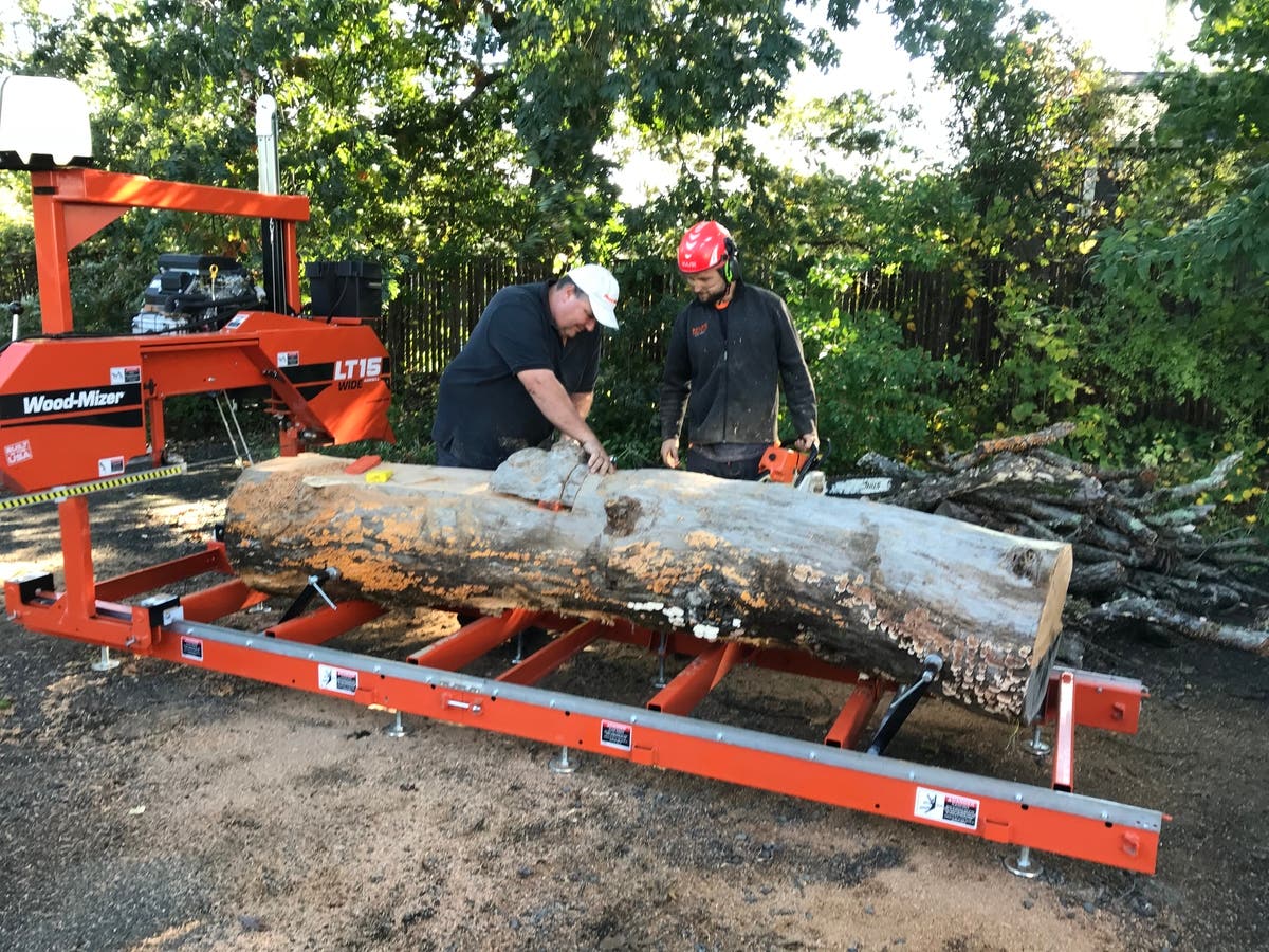 Own A Piece Of Basking Ridge's Historic 600-Year-Old Great Oak ...