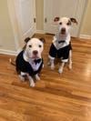 Neko and Bailey