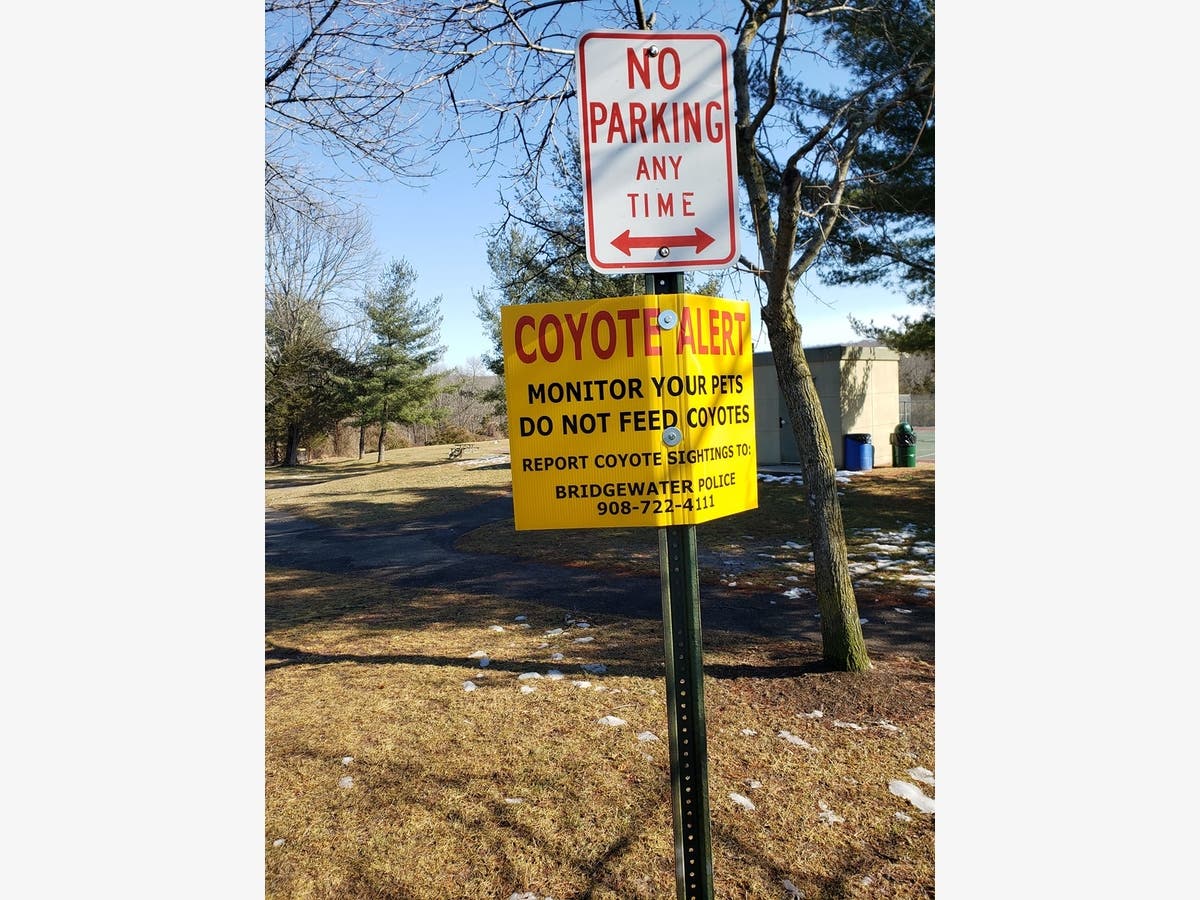 A sign was posted at Chimney Rock Park in Bridgewater warning locals of coyotes following a sighting on Monday.