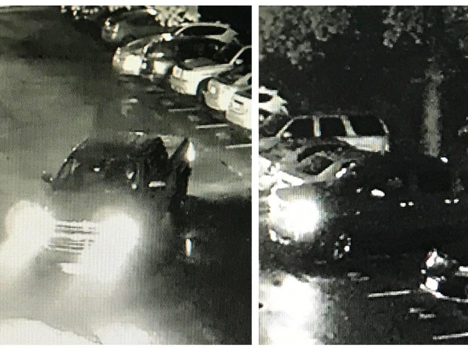 https://patch.com/img/cdn20/users/22871539/20190503/010109/styles/patch_image/public/alleged-animal-abuse-truck-roselle-park-20190503125420-50110800-20190503125514-21429000.jpg