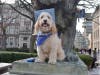 Meet Sparky! He has been chosen as Patch's Pet Of The Week.