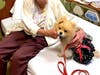 Meet Mookie Bear! She has been chosen as Warren Patch's Pet Of The Week.