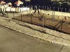 The Clark Police is asking for the public's help to find three people wanted for vandalizing Caitlin Nelson Park​ on Sunday night.