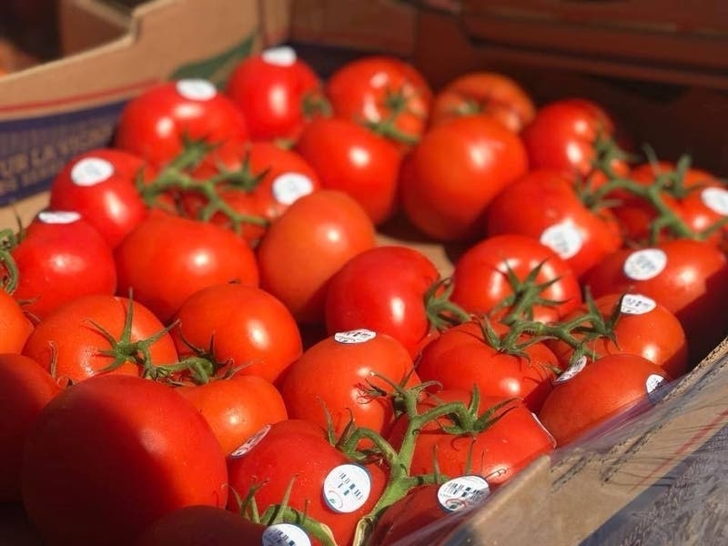 Festomato, a celebration of New Jersey organic tomatoes, will be held in Princeton on Saturday, Sept. 7.