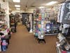 Sunnyside Gifts is celebrating its one year anniversary this weekend by donating 50 percent of its proceeds to Hillsborough-based Steps Together.