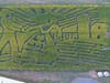 Howell Farm’s 23rd annual Corn Maze opened this past weekend for the season. 