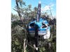 A photo of the plane taken by Bobby Keiling just after he made initial contact with the pilot.