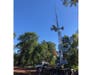 Bobby Keiling helped install straps to the aircraft so that a large crane could hoist it out of the tree and set it on the ground. 