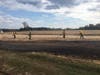 Hillsborough firefighters were busy on Wednesday as they battled two brush fires and two combine fires.