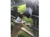 Meet Charlie! He has been chosen as Bridgewater Patch's Pet Of The Week.