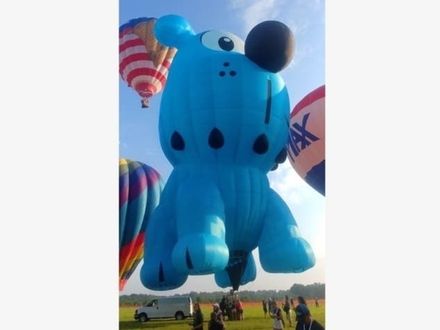 Just at the last minute a potential sponsor has come forward to possibly save the highly popular and anticipated annual New Jersey Festival of Ballooning from being cancelled for 2020, festival officials say.
