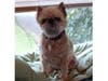 Meet Ace! She has been chosen as Bridgewater Patch's Pet Of The Week. 