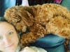 Meet Leo! He has been chosen as Clark-Garwood Patch's Pet Of The Week. 