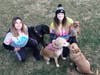 Nancy Bellai with one of her dog walkers Kailey, (on the left) with Bellai's four rescues Lyla, Bear, Fionn, and Otis.