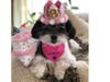 Meet Penny! She has been chosen as Warren Patch's Pet Of The Week. 