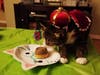 Meet Boozle! He has been chosen as Clark-Garwood Patch's Pet Of The Week.