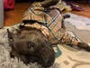 Meet Diesel! He has been chosen as Warren Patch's Pet Of The Week.