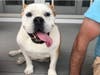 Meet Buttercup! She has been chosen as Warren Patch's Pet Of The Week.