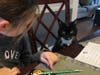 Meet Mittens! He has been chosen as Bridgewater Patch's Pet Of The Week.