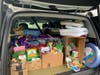 Maddie Schmelzer launched a fundraiser to help area shelters struggling to care for animals amid the coronavirus pandemic.